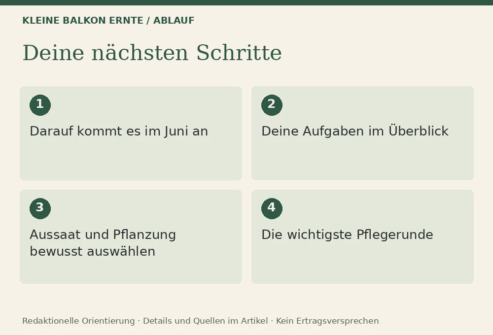 Balkongarten im Juni: säen, pflegen, ernten: Ablauf