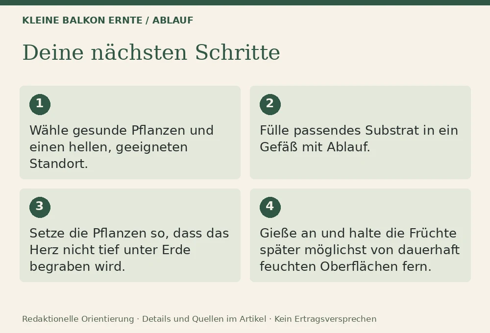 Erdbeeren auf dem Balkon: Ablauf