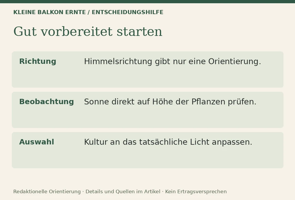 Gemüse für Halbschatten: Entscheidungshilfe