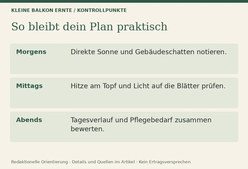 Gemüse für Halbschatten: Kontrollpunkte
