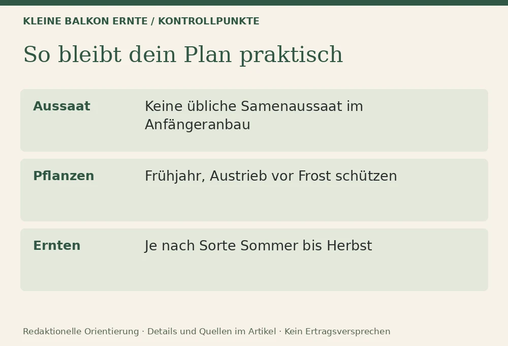 Kartoffeln im Topf oder Pflanzsack: Kontrollpunkte