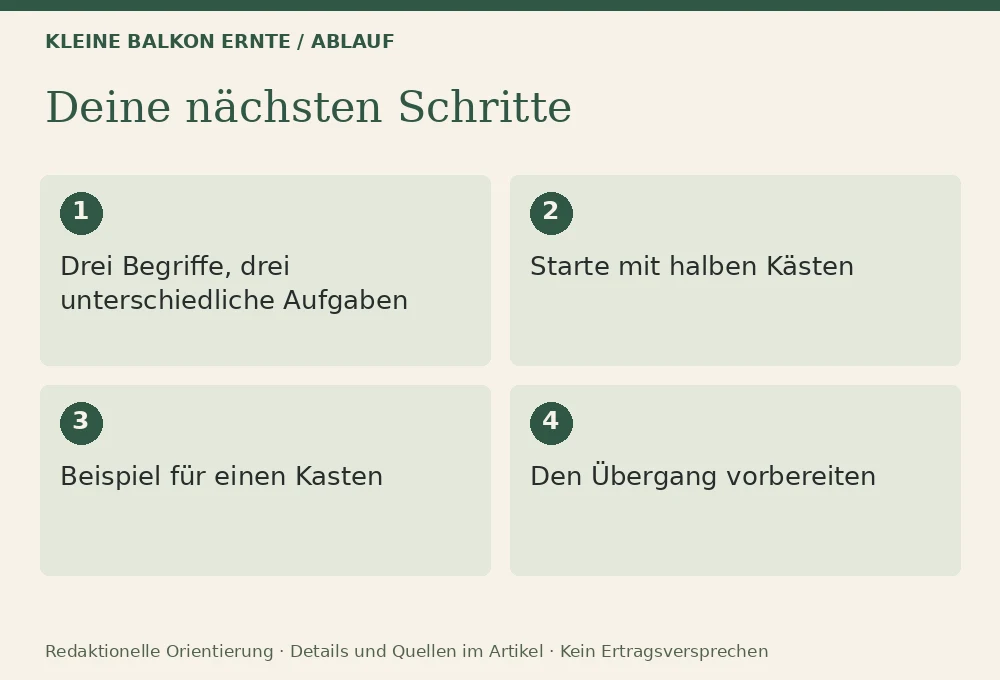 Nachsäen und mehrfach ernten auf kleinem Raum: Ablauf