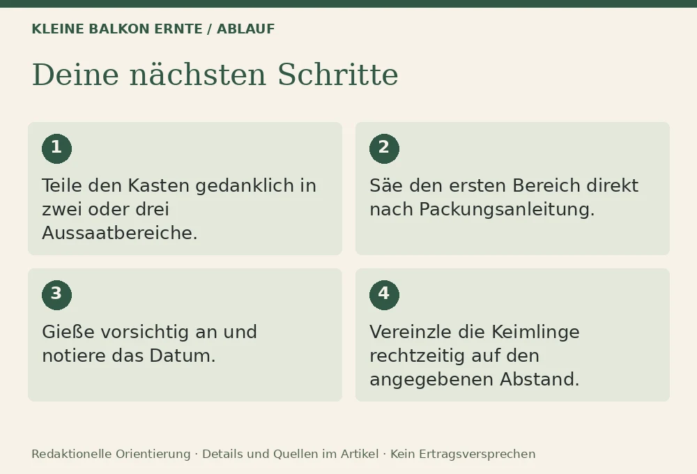 Radieschen im Topf anbauen: Ablauf