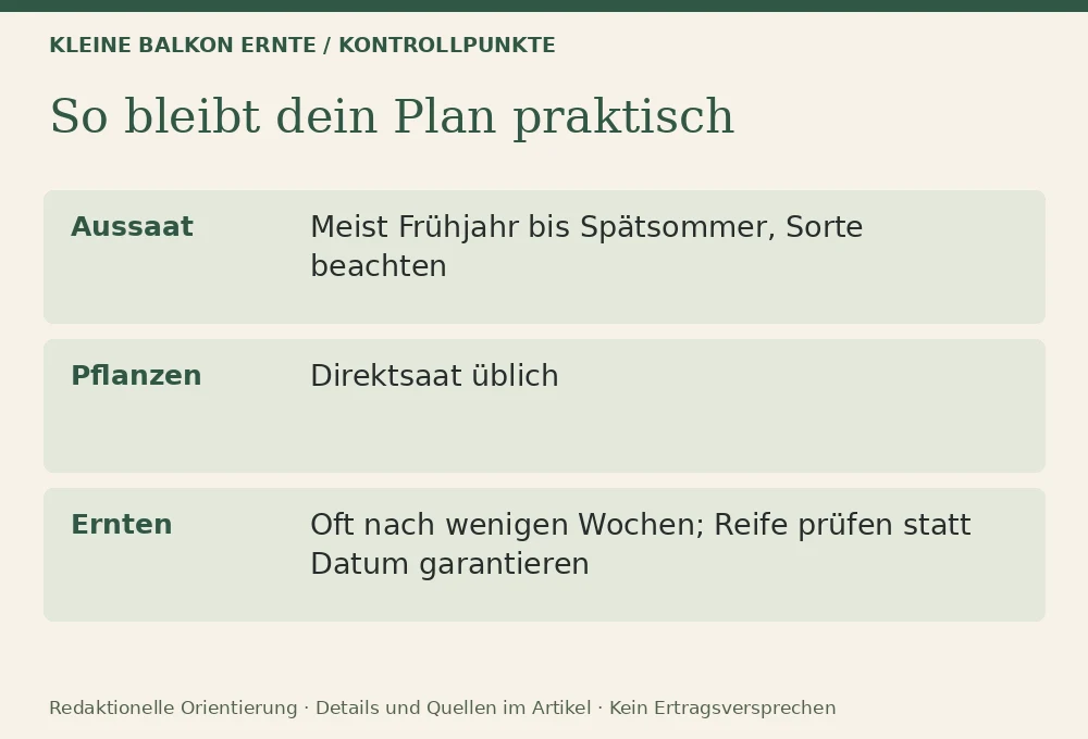 Radieschen im Topf anbauen: Kontrollpunkte