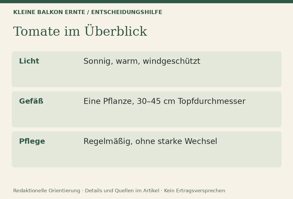 Tomaten im Topf anbauen: Entscheidungshilfe