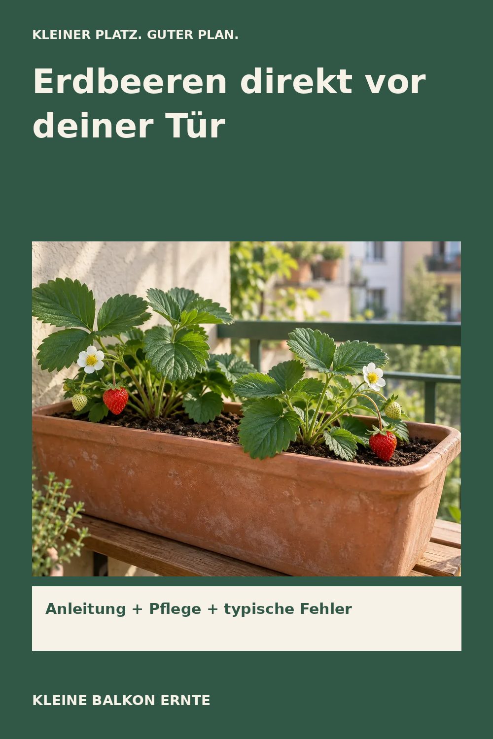 Pinterest-Grafik: Erdbeeren auf dem Balkon – Variante 2