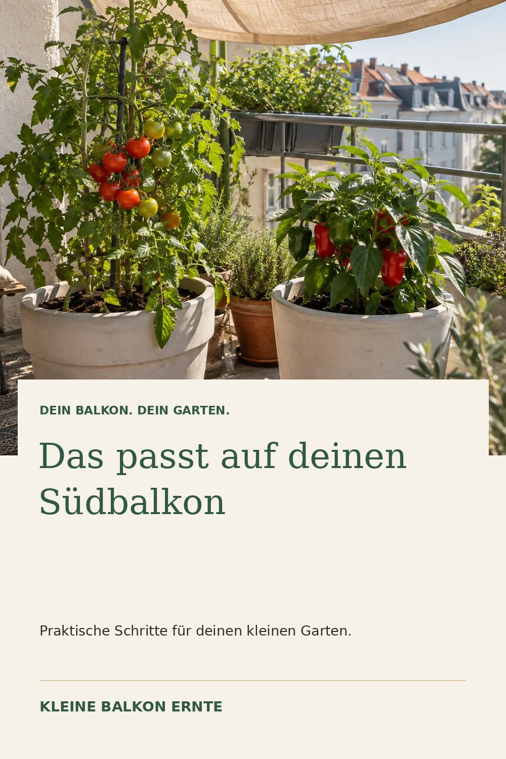 Pinterest-Grafik: Gemüse für den Südbalkon – Variante 1