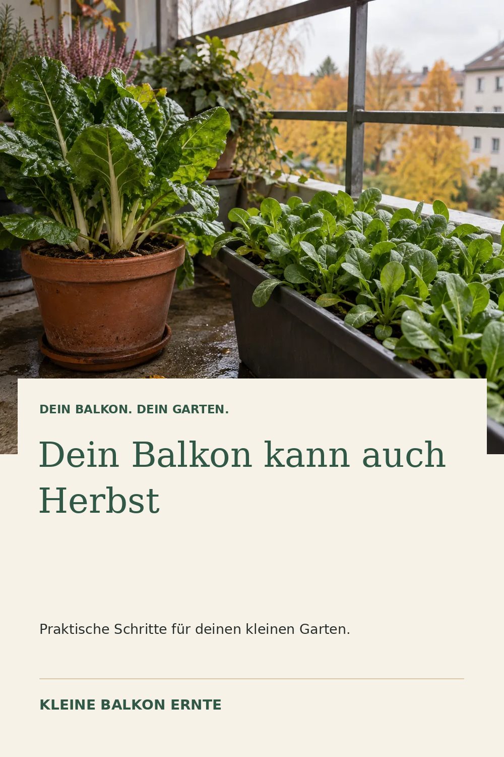 Pinterest-Grafik: Gemüse für den Herbstbalkon – Variante 1