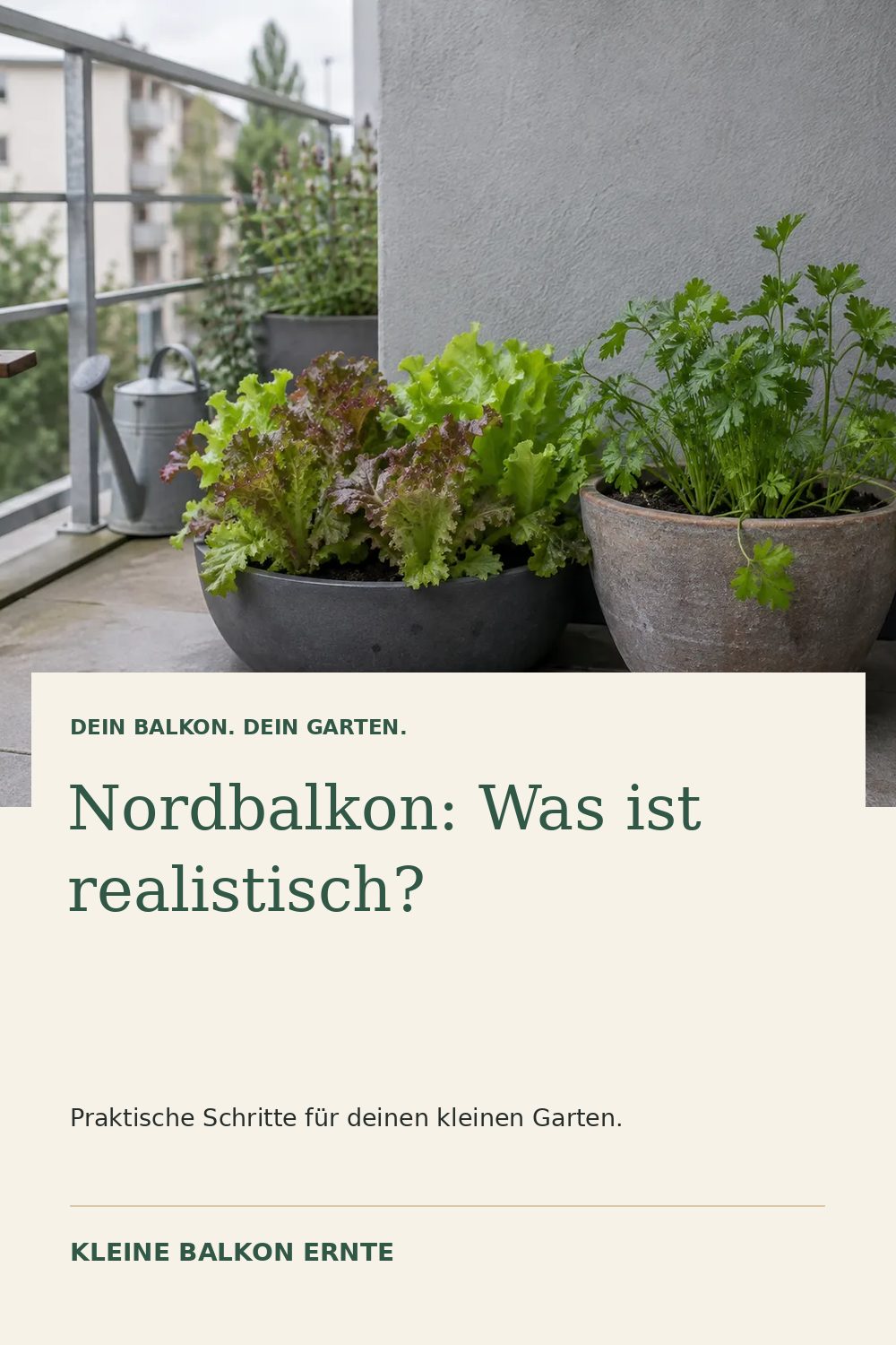 Pinterest-Grafik: Was wächst auf einem Nordbalkon? – Variante 1