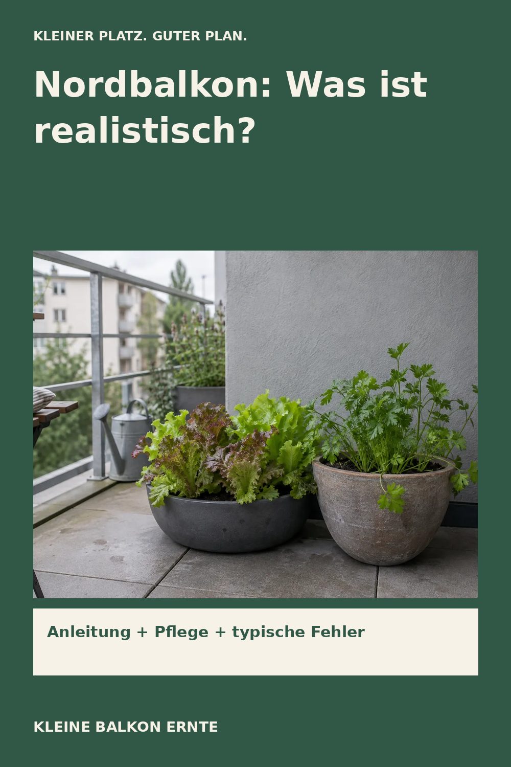 Pinterest-Grafik: Was wächst auf einem Nordbalkon? – Variante 2