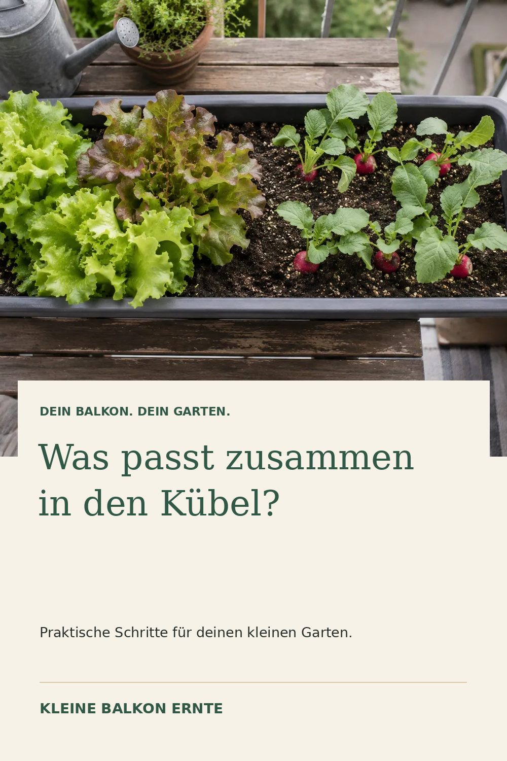 Pinterest-Grafik: Welche Pflanzen passen im Kübel zusammen? – Variante 1