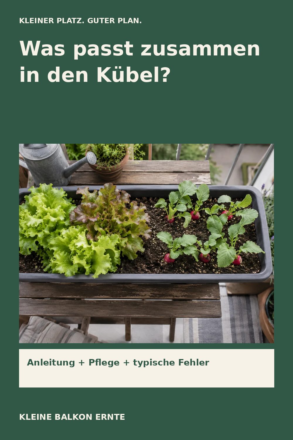 Pinterest-Grafik: Welche Pflanzen passen im Kübel zusammen? – Variante 2
